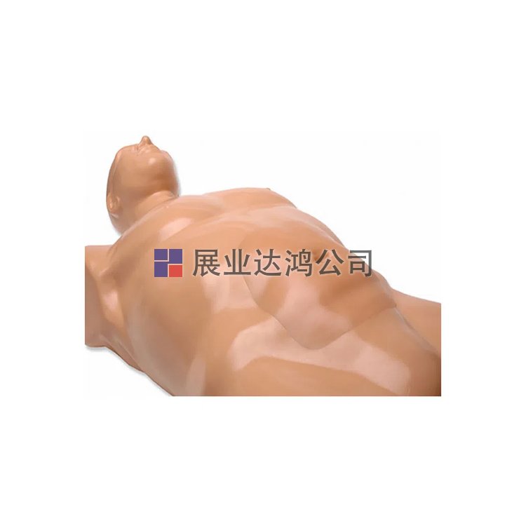 <b>CAE BPAAA1500腹主動脈瘤超聲訓練模型-展業達鴻代理</b>