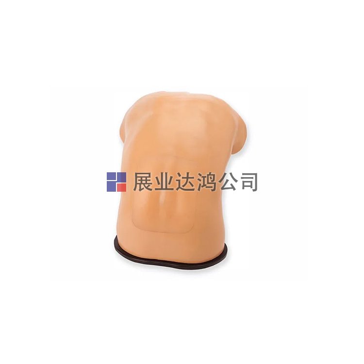 <b>CAE BPLP2101硬膜外超聲訓練模型-展業達鴻代理</b>